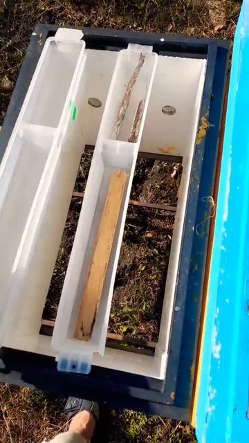 КИТАЙСКИЕ КОРМУШКИ #пчеловодство #bee #пчелы #пасека #honey #хобби смотреть онлайн