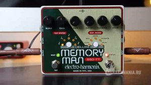 Electro-Harmonix Deluxe Memory Man 550 TT (Русская озвучка)