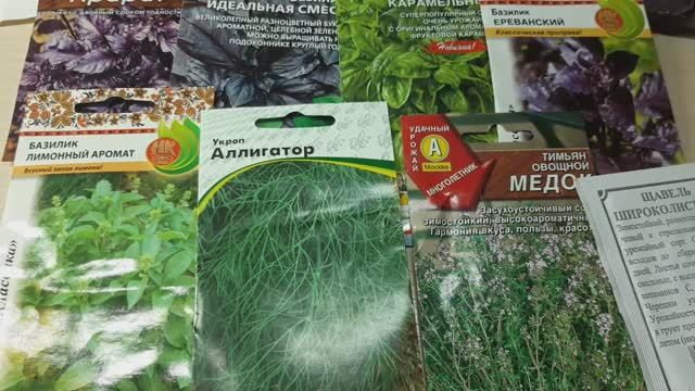 КАКИЕ СЕМЕНА ПРЯНЫХ ТРАВ Я ПОСЕЮ ЭТОЙ ВЕСНОЙ #зелень #семена #укроп #базилик #петрушка #пряныетравы