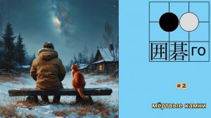 го, вейци, бадук - 2025 - новогодние партии, №2