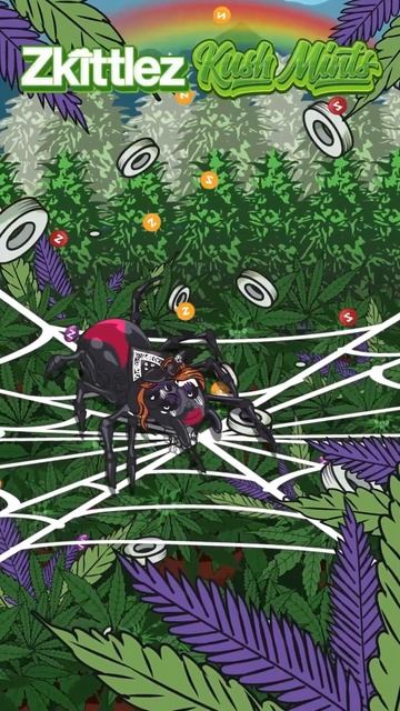 GCC | Black Widow Meets Zkittlez Kush Mints смотреть онлайн