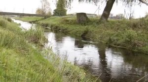 Камінь Каширський назавжди