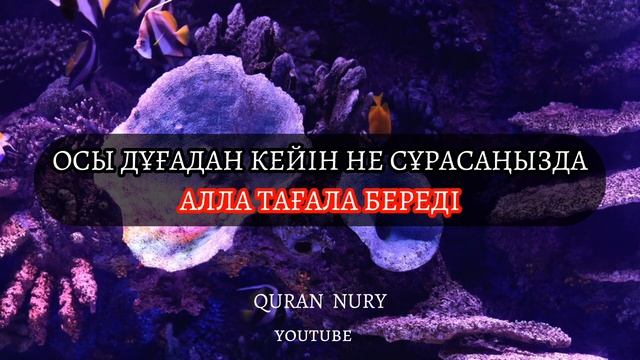 осы дұғадан кейін не сұрасаңызда АЛЛА ТАҒАЛА БЕРЕДІ | Арман Қуанышбаев ұстаз