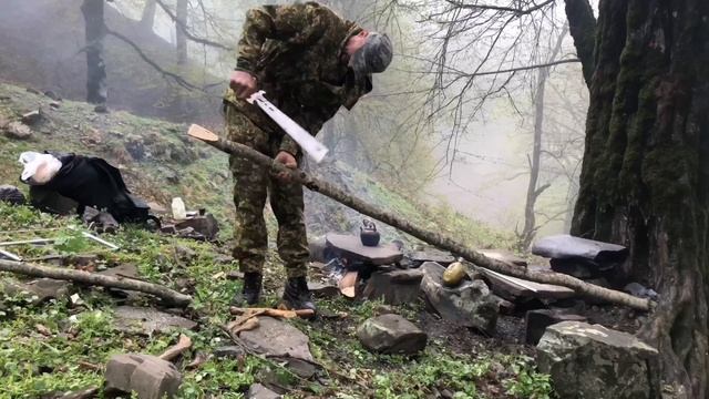 Встреча с медведями