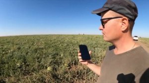 Клиент об арбузе конго 🚛🍉