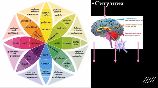 10.1 Ждал одно, получилось как всегда♀️. Почему ожидания не сбываются и что ведет к РАЗОЧАРОВАНИЯМ