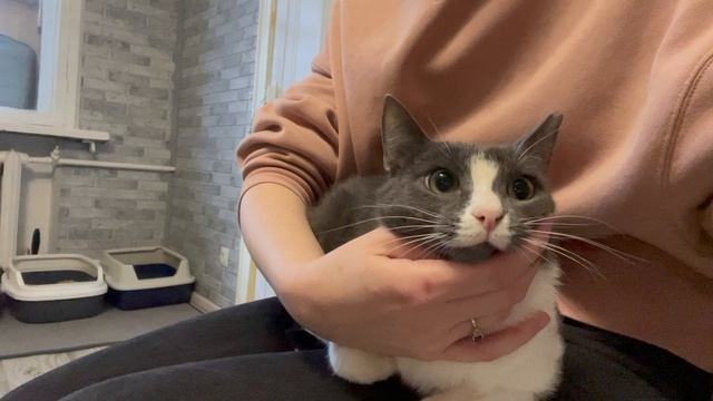 01-03-2025 смотреть онлайн