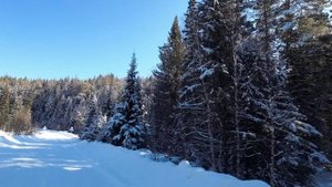 Последний календарный день зимы на Отнурке. Белорецкий район. Башкортостан.