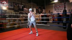 The Ultimate Step and Punch Instructional Video[720p60]