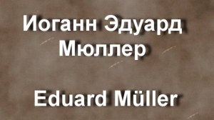 Иоганн Эдуард Мюллер Eduard Müller работы биография