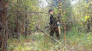 ОБУСТРОЙСТВО НОВОГО МЕСТА В ЛЕСУ┃ДУШЕВНЫЙ ПОХОД ВЫХОДНОГО ДНЯ В АВГУСТЕ┃ТОПЫКАТЕГОРИЙ┃№ 43