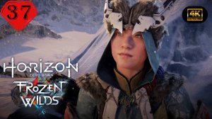 Во имя выживания.Прохождение Horizon Zero Dawn:Remastered(4K).На Русском.Часть 37.