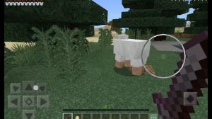 VID_2025-01-05-18-14-21.mp4