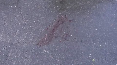 Верхняя Салда, 28 мая на трассе Нижняя Салда - Алапаевск был обнаружен труп