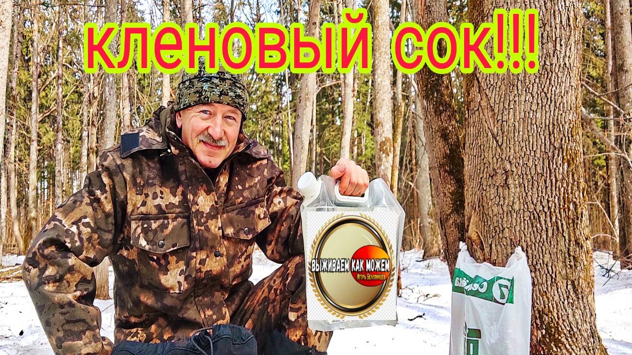 ВРЕМЯ СОБИРАТЬ КЛЕНОВЫЙ СОК!!!