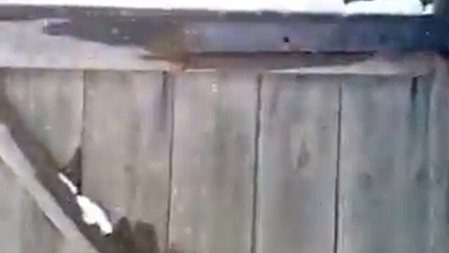 23 октября 2012г. Первый осенний снегопад на Байкале с. Максимиха. смотреть онлайн