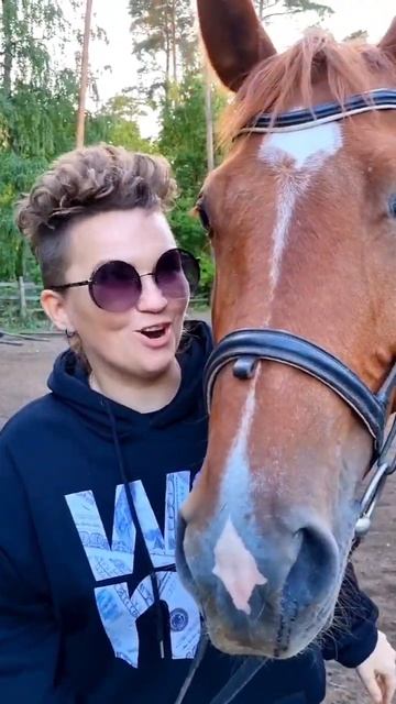 Лошадь в шоке смотреть онлайн