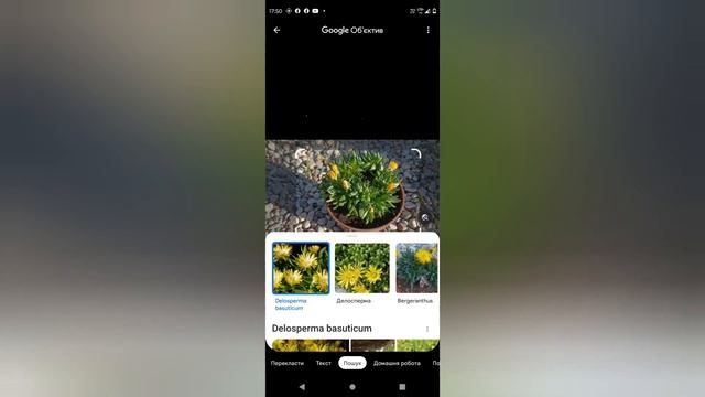 Як знайти по фото будь що. смотреть онлайн