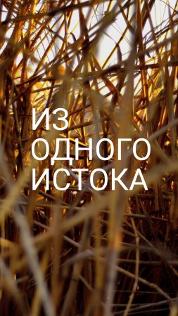 Из одного истока