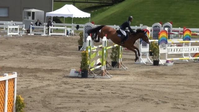 BUM Quentin [ Fuji Horse Show Spring Grand Prix] Fuji Mini Grand Prix MA Jump-Off 2013-5-12 смотреть онлайн