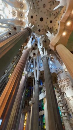 ⭐️ Sagrada Familia Barcelona