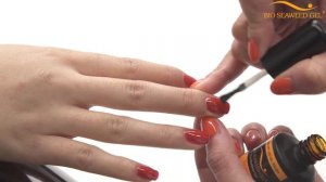 BSG Product Spotlight: Top Gel Polish