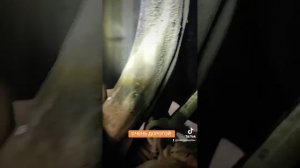 Фольксваген фаетон замена датчика положения кузова.Сколько стоит дитчик.