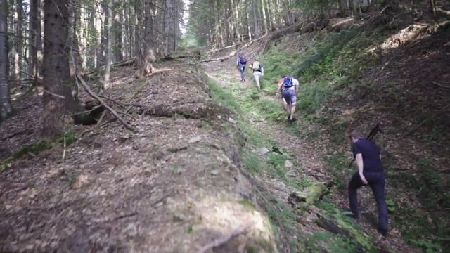 Яйко Ілемське (спроба) 2020 смотреть онлайн