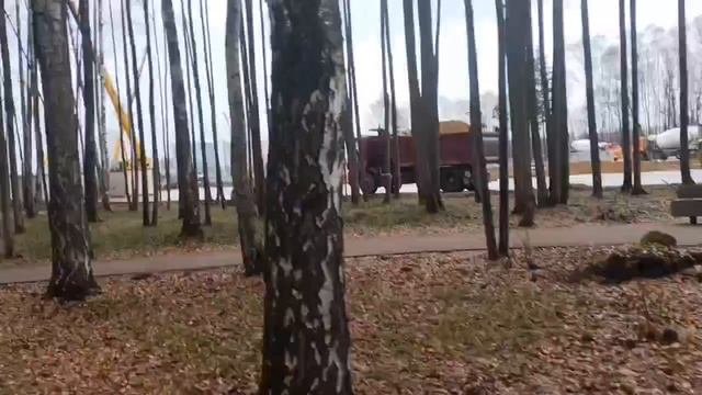 Липовая Роща Рублево-Архангельской линии 19.11.2024
