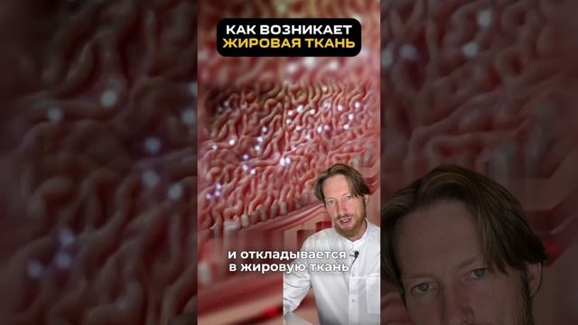 как возникает жировая ткань  #похудение #пп #нутрициолог #стресс #потерявеса #жирнаживоте #шортс
