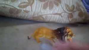 Король Лев 1серия 1часть