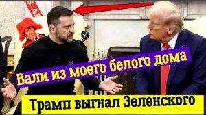То самое видео, где Трамп вышвырнул Зеленского из Белого Дома