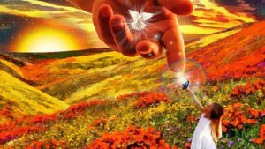 Всюду вижу любовь Твою Боже! Тимур Абылгузин.