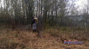 Акарицидная обработка от клещей в Казани