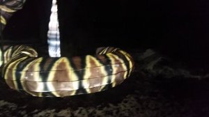 ПАРК ФОНАРЕЙ. 🐍"Гремучая змея". Слышно, как гремит её хвост! ☝️