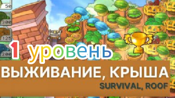 PVZ локация крыша 2 уровень
