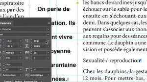 InDesign anglais février 2020 part 104 formation pro 2019 Adobe une grille de mise en page facile