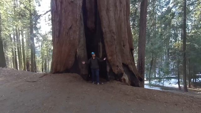 VR180 Sequoia Driving - Finding Tunnel Log 20210223 смотреть онлайн