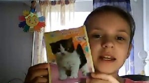 Для чего можно использовать блокноты