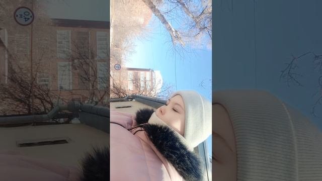 влог