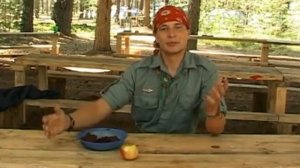 ФСР. Программа Бриз (8).mp4