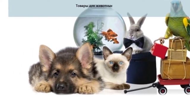 Бизнес в интернете на торговле самые прибыльные товары для интернет магазинов смотреть онлайн