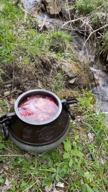 Удивительно Вкусно в Горах Готовим мясо в Афганке #shorts #дагестан #горы #туризм смотреть онлайн