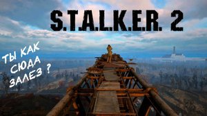 S.T.A.L.K.E.R. 2 / С.Т.А.Л.К.Е.Р. 2 - Разговор с Рихтером на стреле
