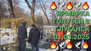 🔥🕊🔥 Ярмарка голубей в г.Луганск. Птичий рынок 01.03.25. Pigeons Fair. Bird Market.