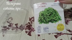 Зеленьт будет раньше, если семена подготовить. Сею с бутылкой.