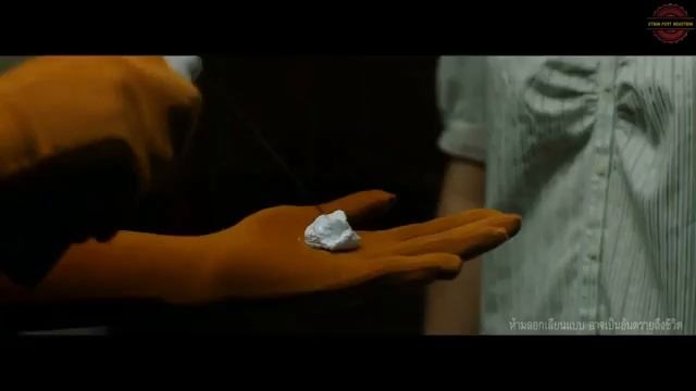 Тайская реклама средства от тараканов Чандрит с переводом на русский язык (360p) смотреть онлайн