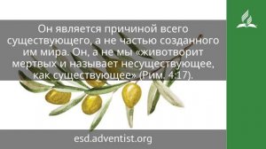 3 марта 2025 В неприступном свете. Под сенью благодати Адвентисты