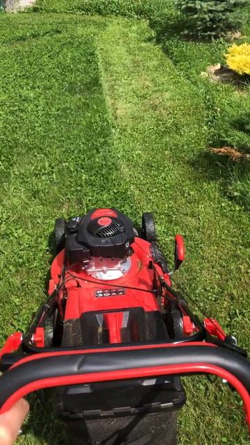 Самоходная бензиновая газонокосилка Fubag FPL 53 SMV #shortvideo #shorts #short смотреть онлайн