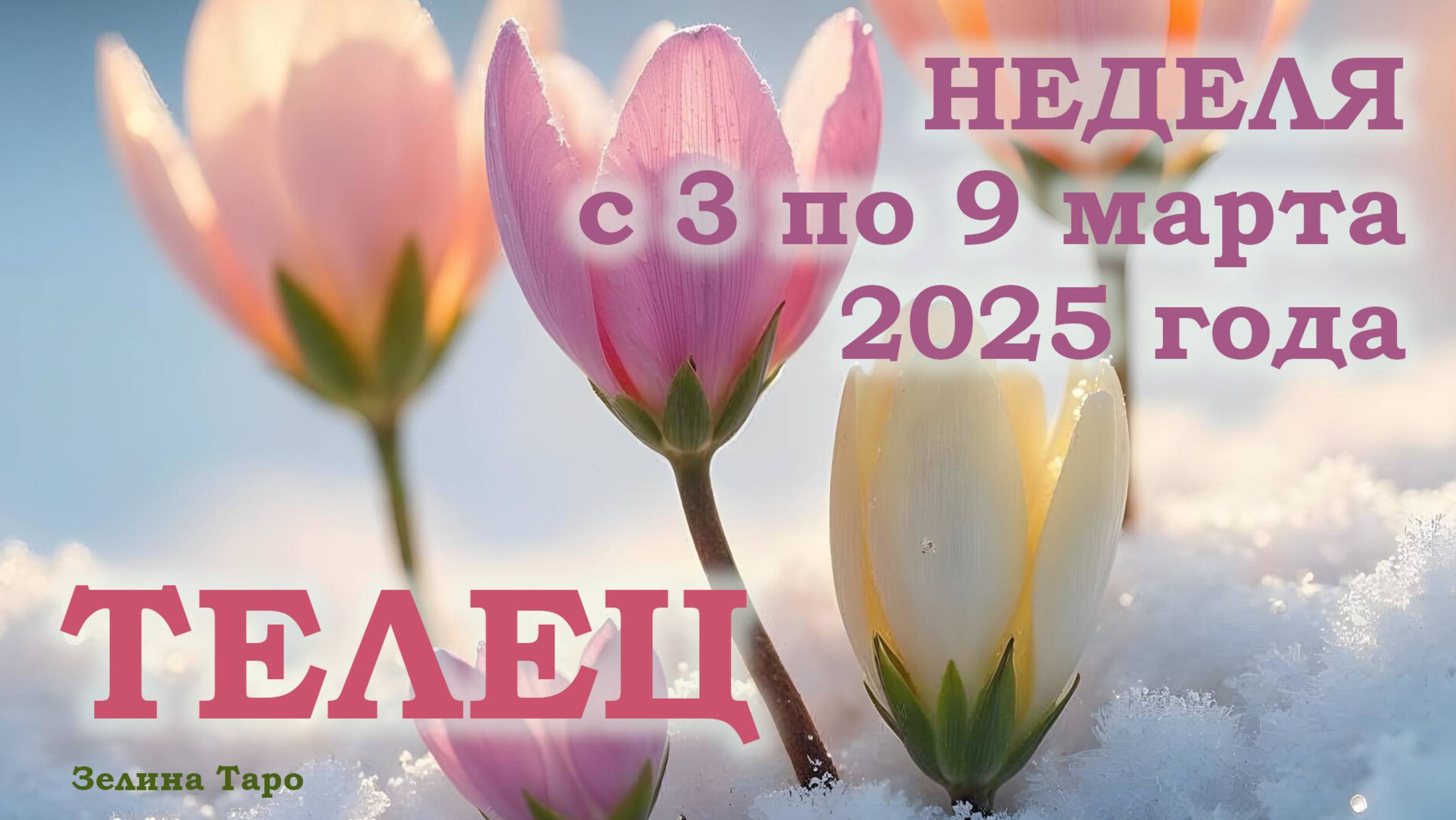 ТЕЛЕЦ | ТАРО прогноз на неделю с 3 по 9 марта 2025 года